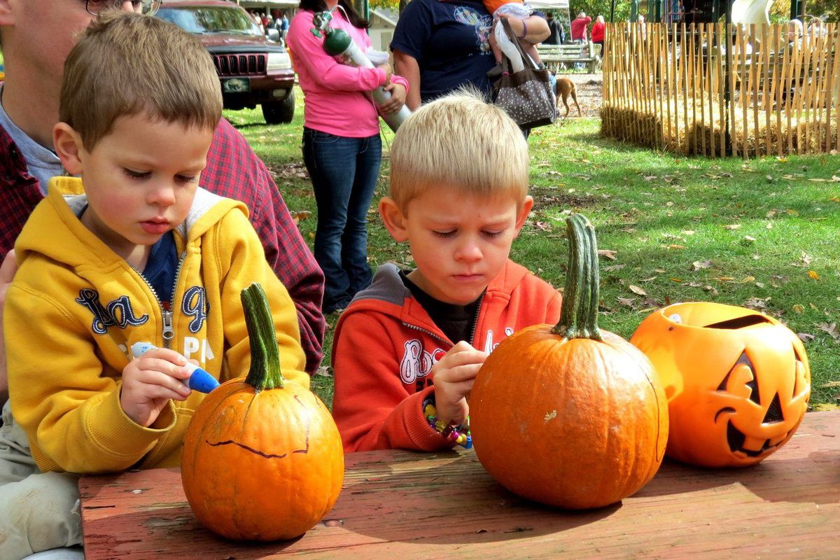 Decorating Pumpkins